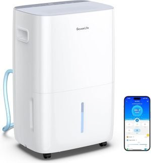 GoveeLife Dehumidifier for Home