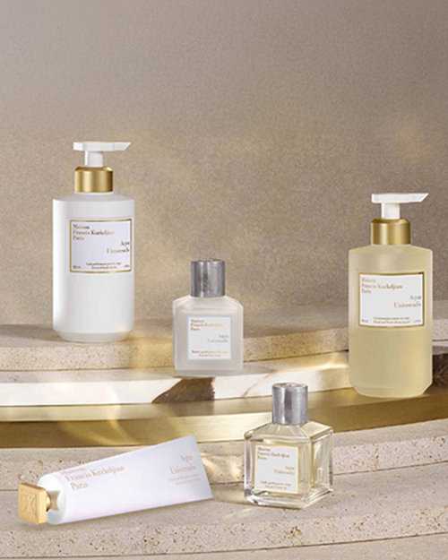 meaningful description of the image