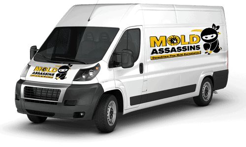 MoldAssassinsVan CitrusVan